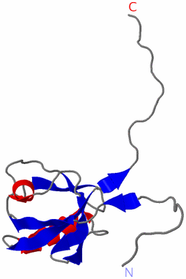 Image NMR Structure - model 1