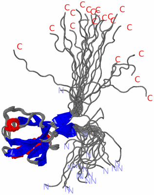 Image NMR Structure - all models