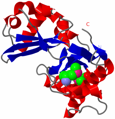 Image Asym./Biol. Unit