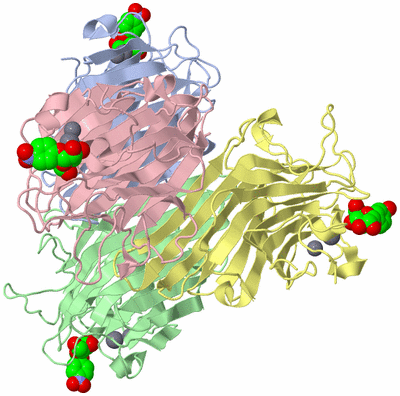 Image Asym./Biol. Unit