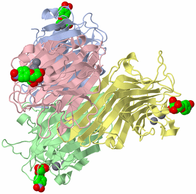 Image Asym./Biol. Unit