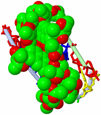 Image Biological Unit 1