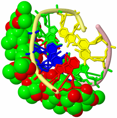 Image Biological Unit 2