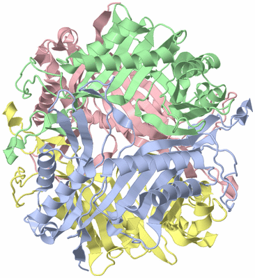 Image Biological Unit 1