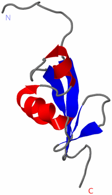 Image NMR Structure - model 1