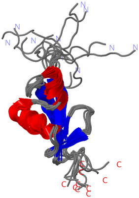 Image NMR Structure - all models