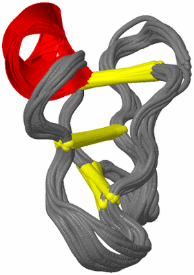 Image NMR Structure - all models