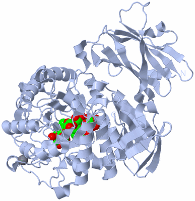 Image Biological Unit 1