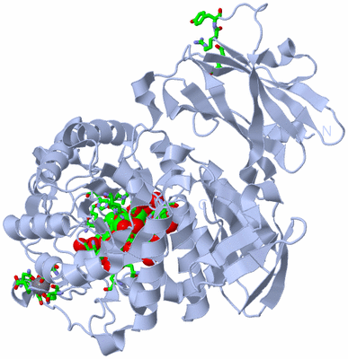 Image Biol. Unit 1 - sites