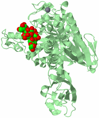 Image Biological Unit 2