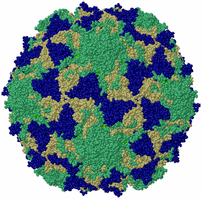 Image Biol. Unit 1 - sites