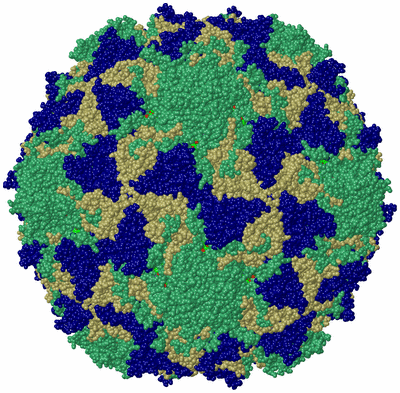 Image Biol. Unit 1 - sites