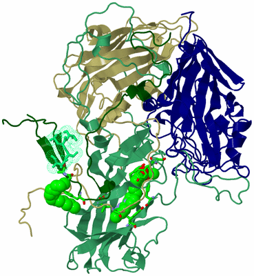 Image Asym. Unit - sites