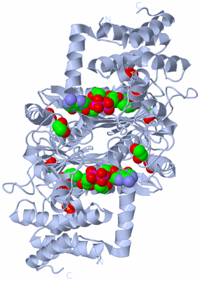 Image Biological Unit 1