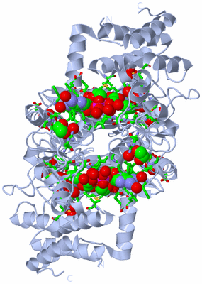 Image Biol. Unit 1 - sites