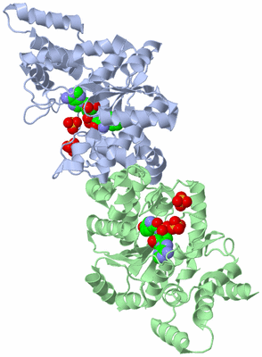 Image Asym./Biol. Unit