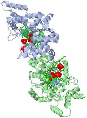 Image Asym./Biol. Unit - sites