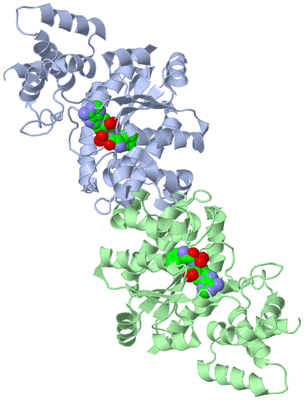 Image Asym./Biol. Unit