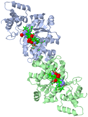 Image Asym./Biol. Unit - sites