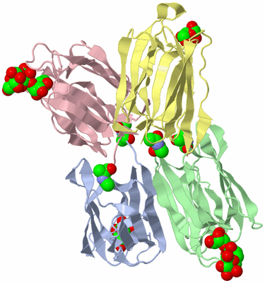 Image Biological Unit 1