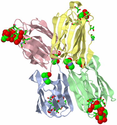 Image Biol. Unit 1 - sites