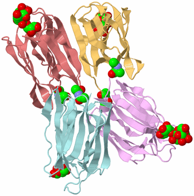 Image Biological Unit 2