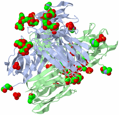 Image Biological Unit 2