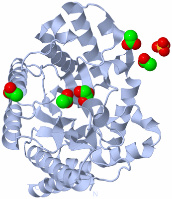 Image Biological Unit 1