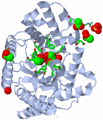 Image Biol. Unit 1 - sites