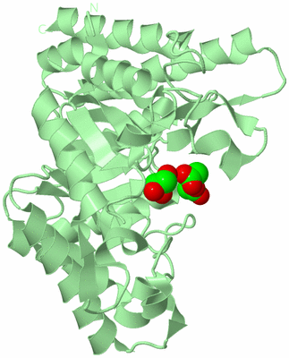 Image Biological Unit 2