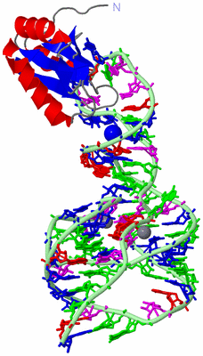 Image Asym./Biol. Unit