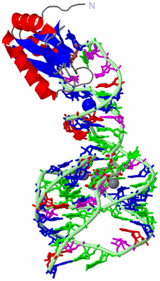 Image Asym./Biol. Unit - sites