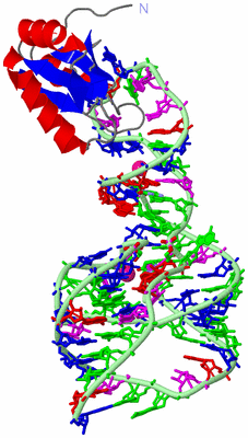 Image Asym./Biol. Unit - sites