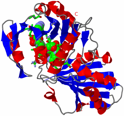 Image Asym. Unit - sites