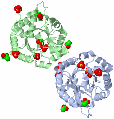 Image Biological Unit 3