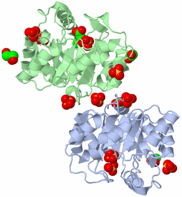 Image Biological Unit 4