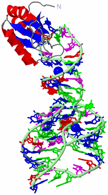 Image Asym./Biol. Unit