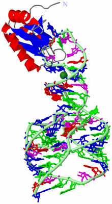 Image Asym./Biol. Unit