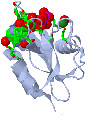 Image Biol. Unit 1 - sites