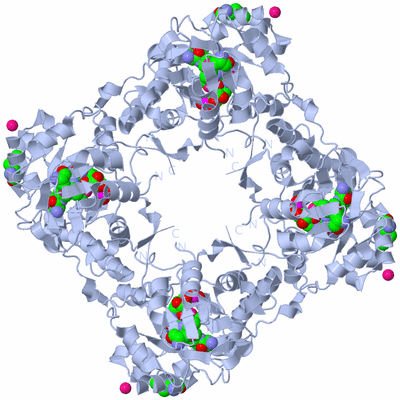 Image Biological Unit 2