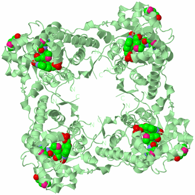 Image Biological Unit 3