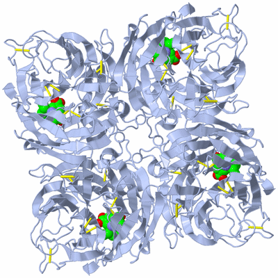 Image Biological Unit 1