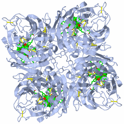 Image Biol. Unit 1 - sites