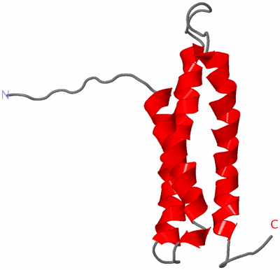 Image NMR Structure - model 1