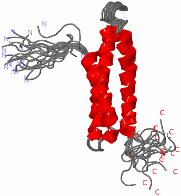 Image NMR Structure - all models