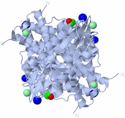 Image Biological Unit 2