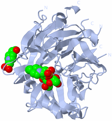 Image Biological Unit 1