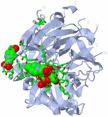 Image Biol. Unit 1 - sites