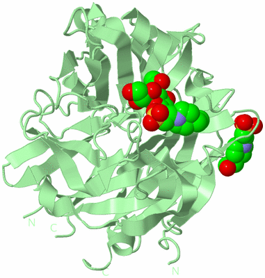 Image Biological Unit 2