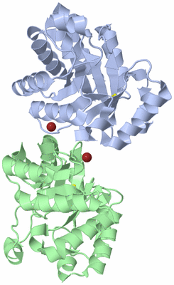 Image Biological Unit 2